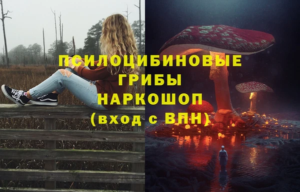 apvp Инта