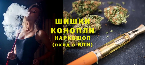крисы Каменка
