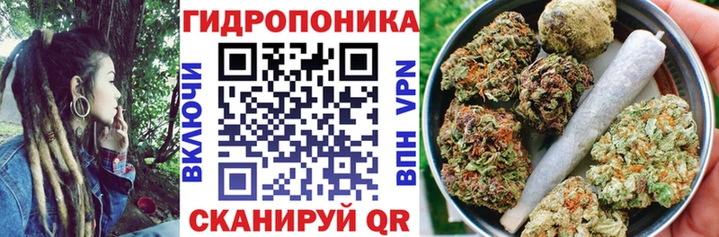 Купить  Солигалич  Бошки марихуана конопля 
